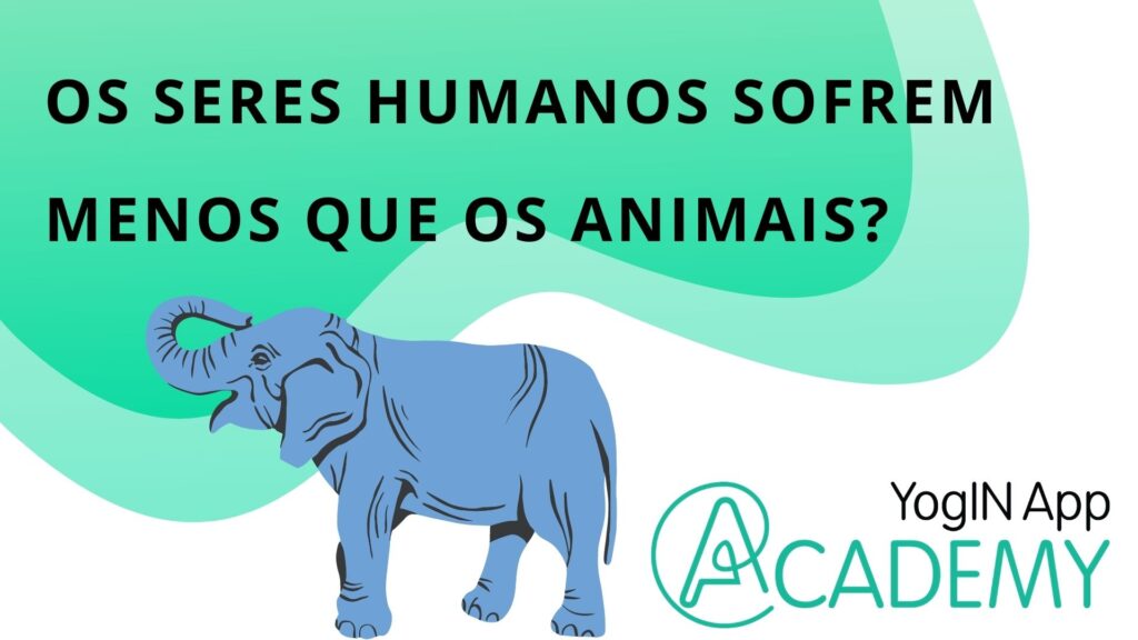 Seres Humanos sofrem menos que os Animais