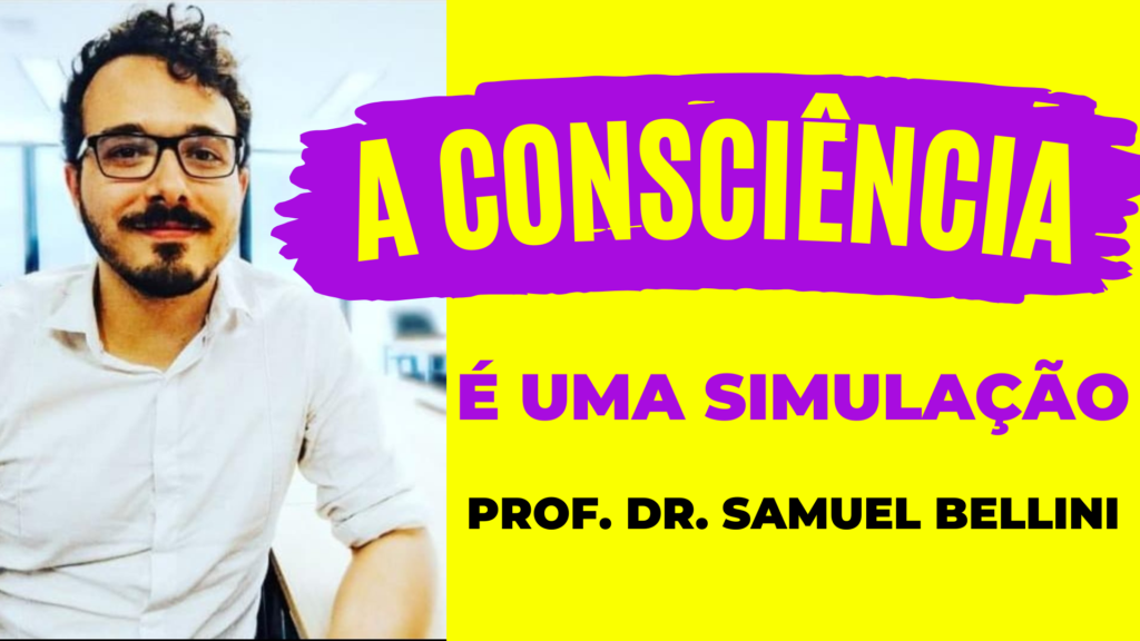 A Consciência é uma Simulação