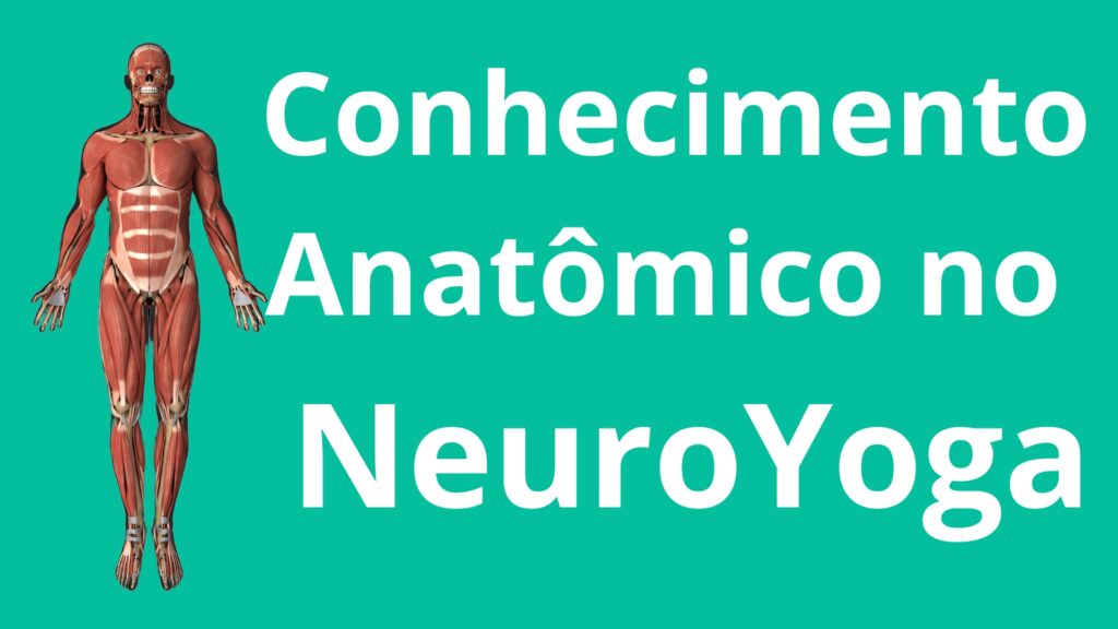 Conhecimento Anatômico no NeuroYoga